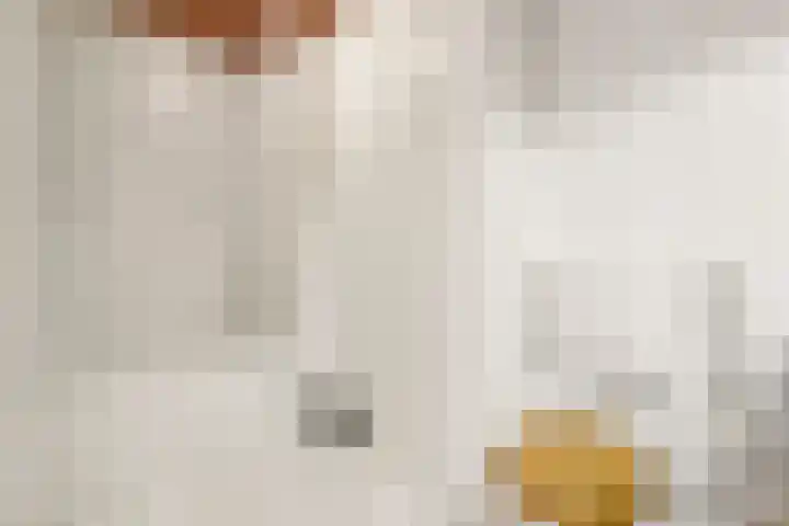 Terborch 18 Monster thumbnail 14