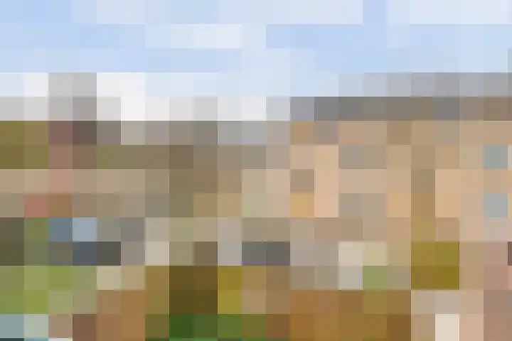 Terborch 18 Monster thumbnail 21