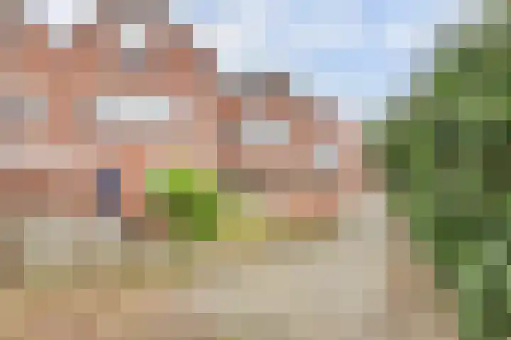 Terborch 18 Monster thumbnail 23