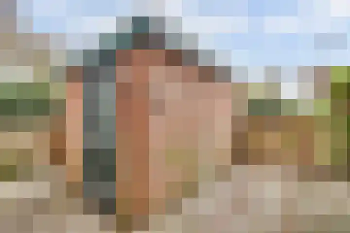 Terborch 18 Monster thumbnail 24