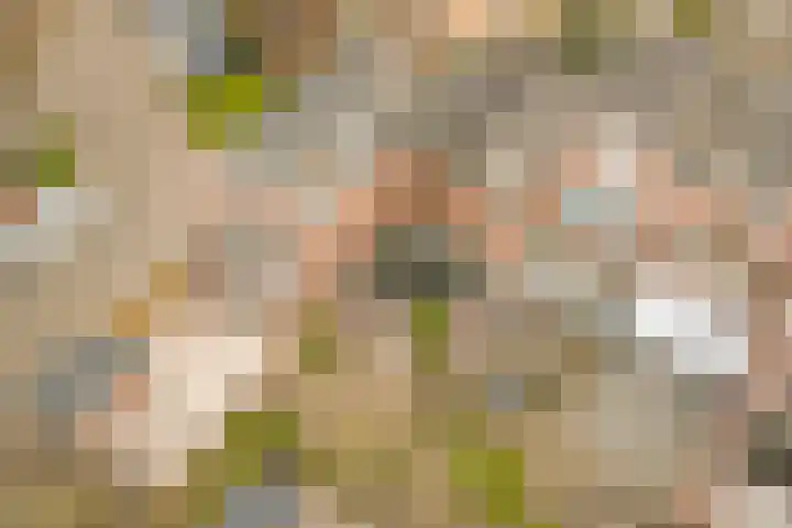 Terborch 18 Monster thumbnail 25