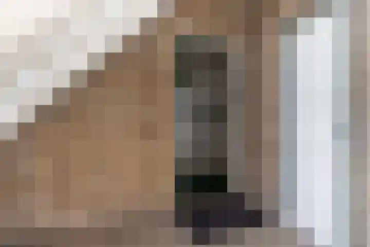 Terborch 18 Monster thumbnail 28