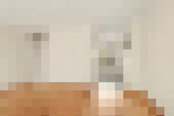 Terborch 18 Monster thumbnail 6