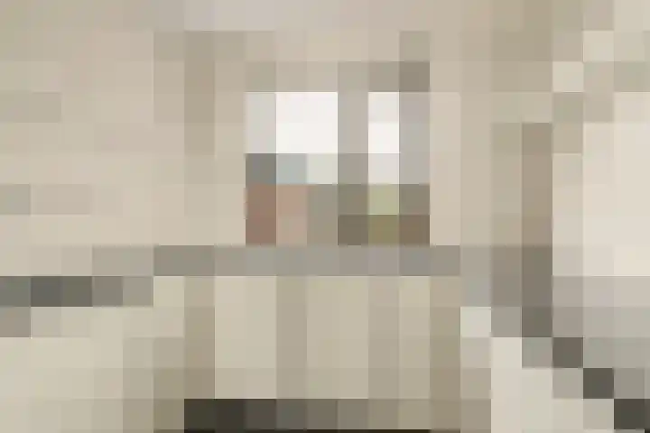 Terborch 18 Monster thumbnail 8