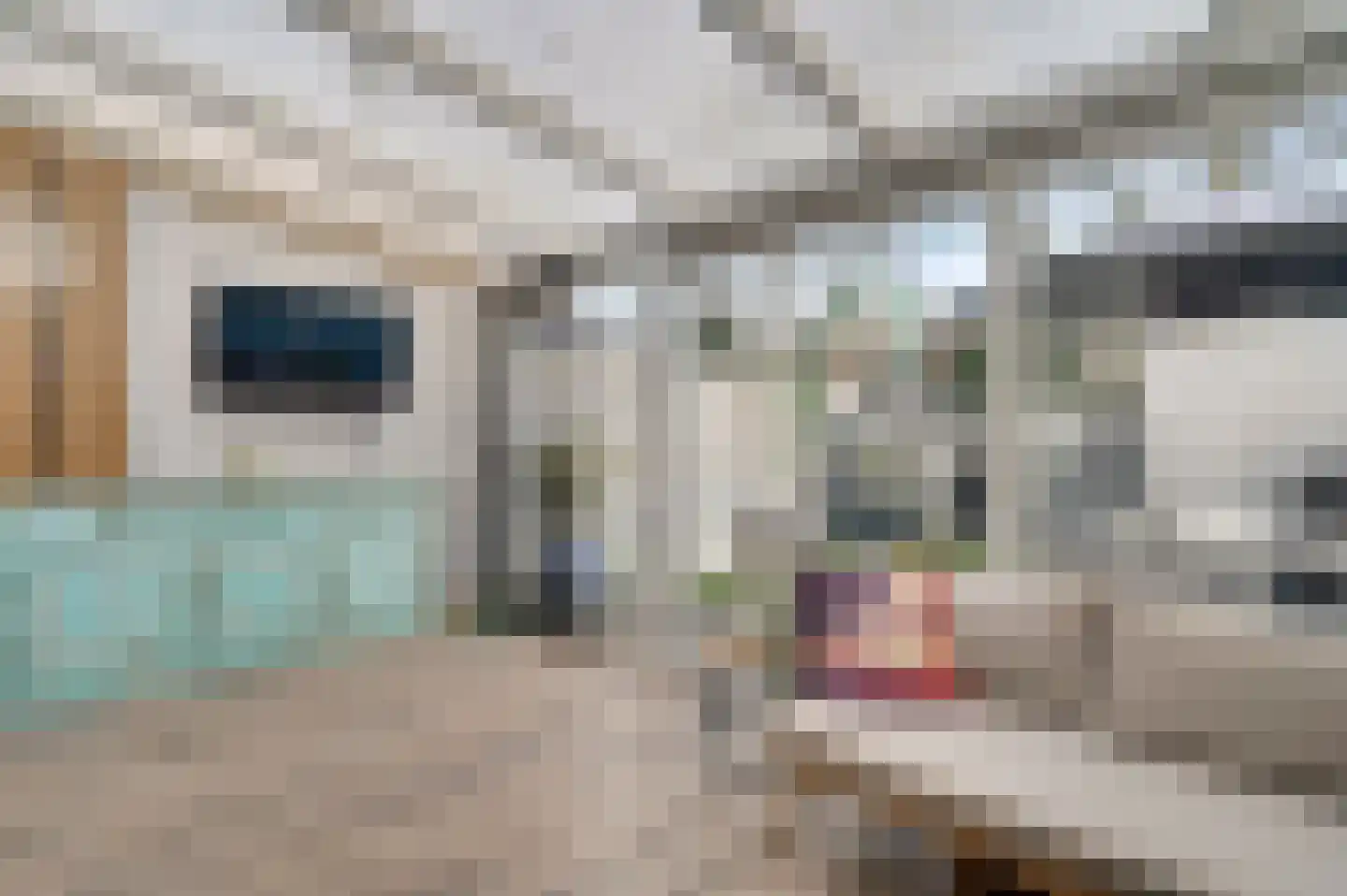 Terborgh 29 Weert thumbnail 13