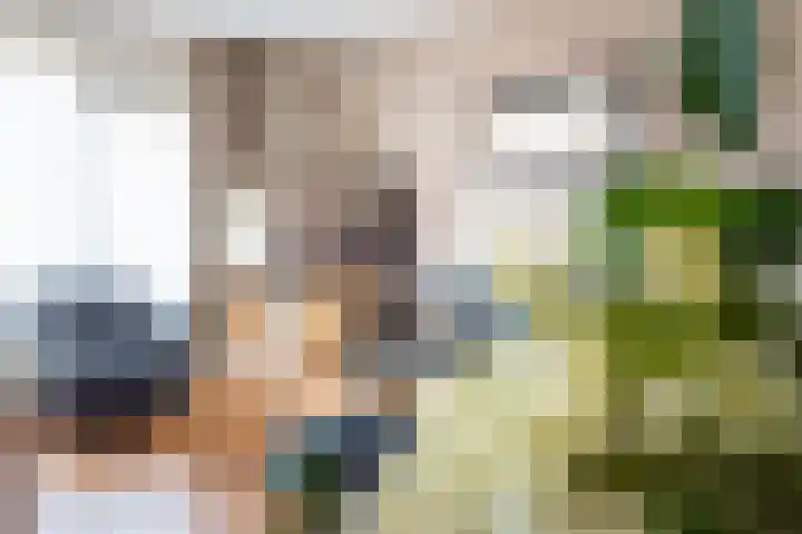 Terborgseweg 24 Dinxperlo thumbnail 13