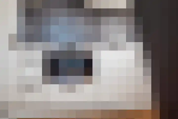 Terborgseweg 24 Dinxperlo thumbnail 21