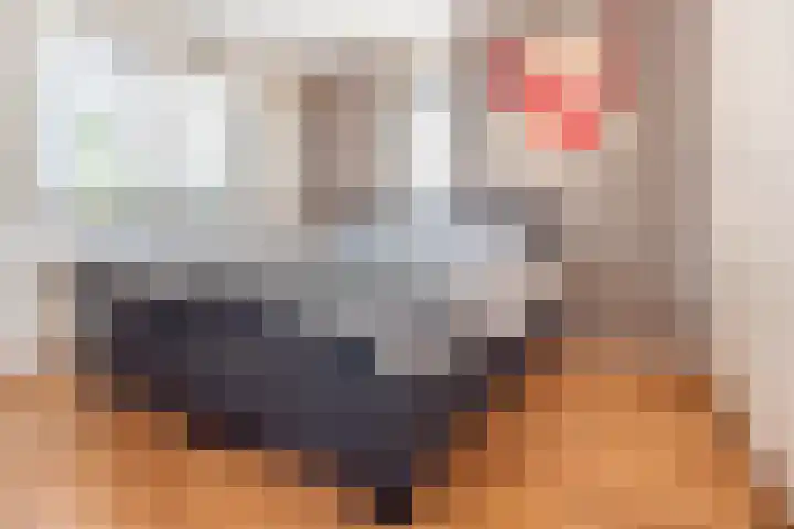 Terborgseweg 24 Dinxperlo thumbnail 4