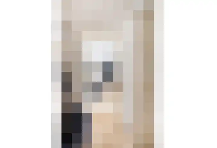 Terhagen 3 Elsloo thumbnail 14