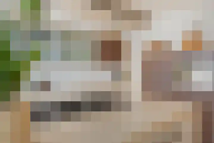 Terhagen 3 Elsloo thumbnail 24