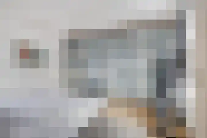 Terhagen 3 Elsloo thumbnail 27