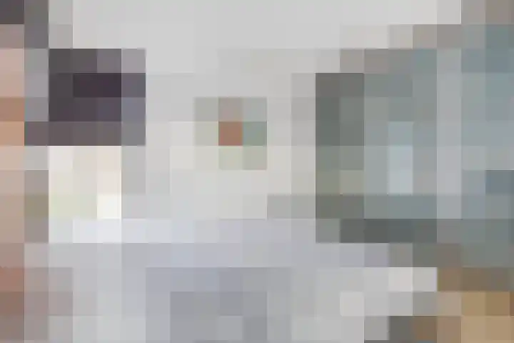 Terhagen 3 Elsloo thumbnail 28