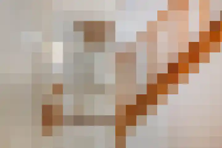 Terhagen 3 Elsloo thumbnail 35