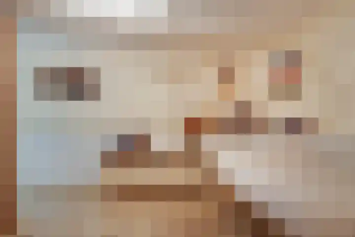 Terhagen 3 Elsloo thumbnail 37