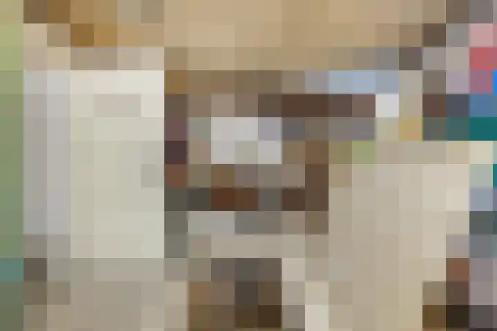 Terhagen 3 Elsloo thumbnail 39