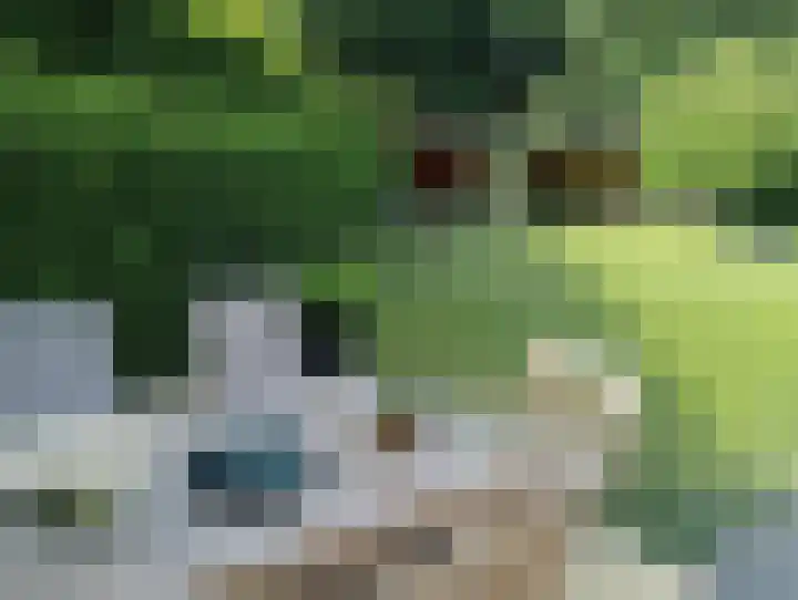 Terhagen 3 Elsloo thumbnail 4