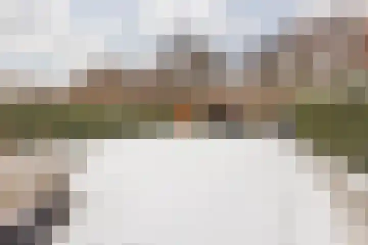 Terhagen 3 Elsloo thumbnail 45