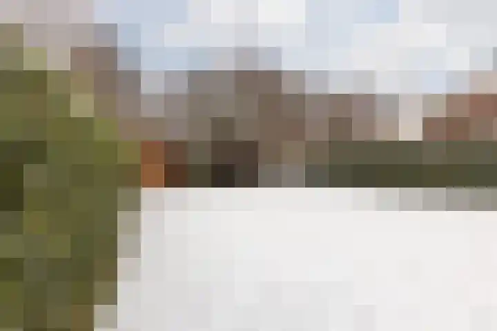 Terhagen 3 Elsloo thumbnail 47