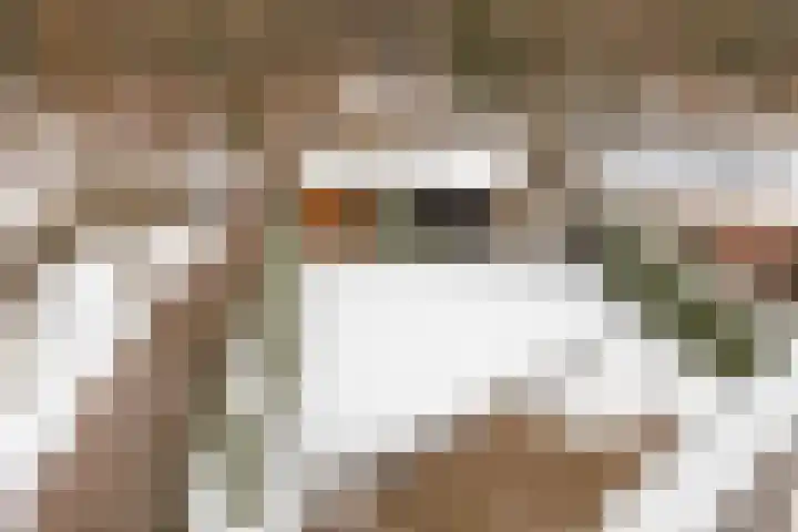 Terhagen 3 Elsloo thumbnail 48