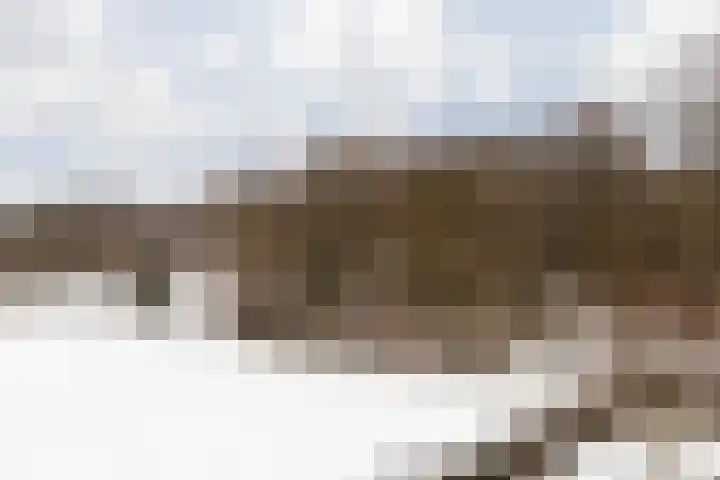 Terhagen 3 Elsloo thumbnail 50