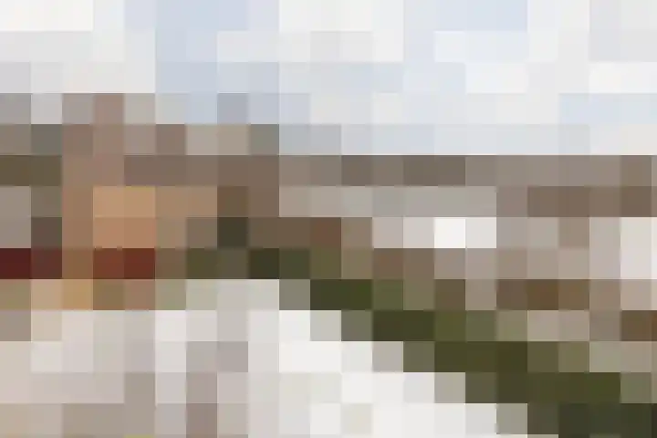 Terhagen 3 Elsloo thumbnail 52