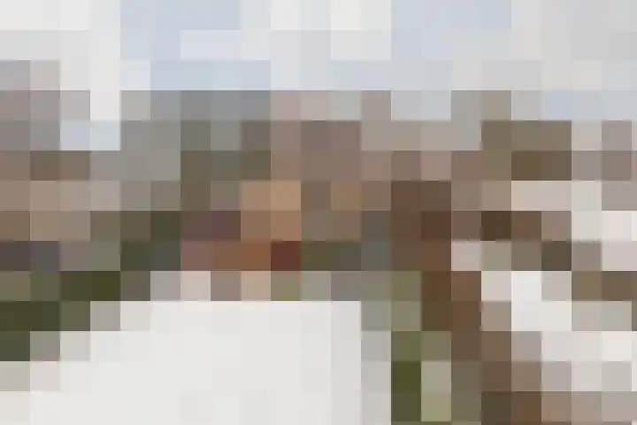 Terhagen 3 Elsloo thumbnail 53