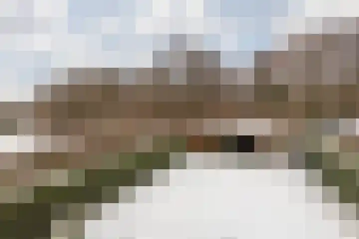 Terhagen 3 Elsloo thumbnail 55