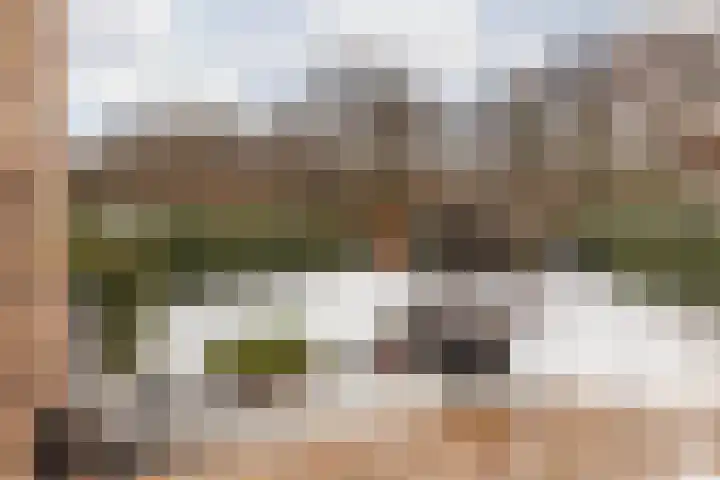 Terhagen 3 Elsloo thumbnail 56