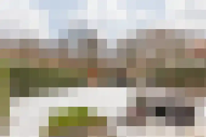 Terhagen 3 Elsloo thumbnail 57
