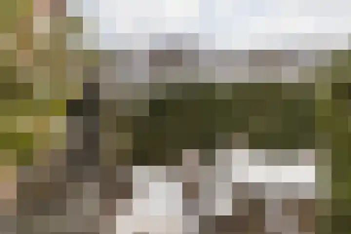 Terhagen 3 Elsloo thumbnail 58