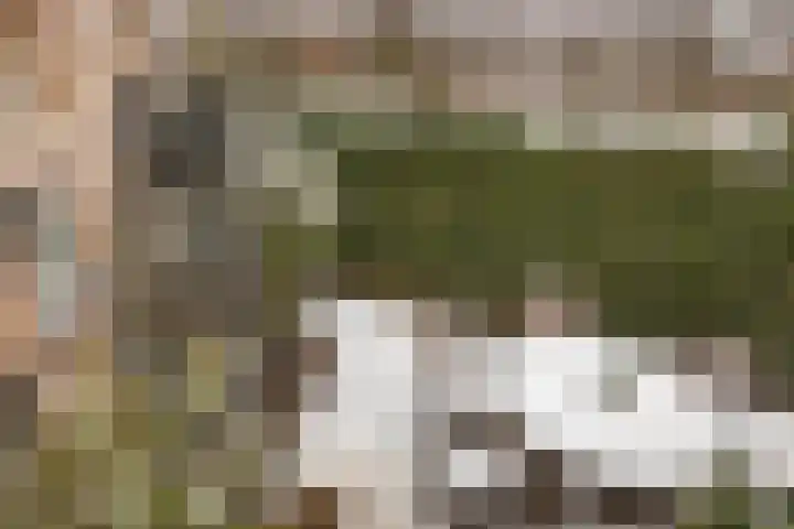 Terhagen 3 Elsloo thumbnail 59