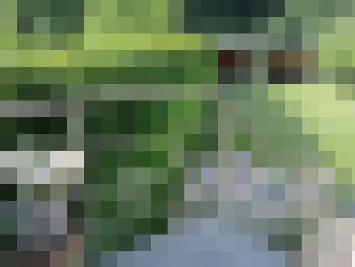 Terhagen 3 Elsloo thumbnail 61