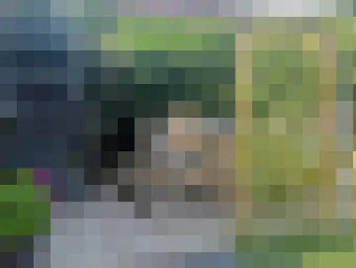 Terhagen 3 Elsloo thumbnail 62