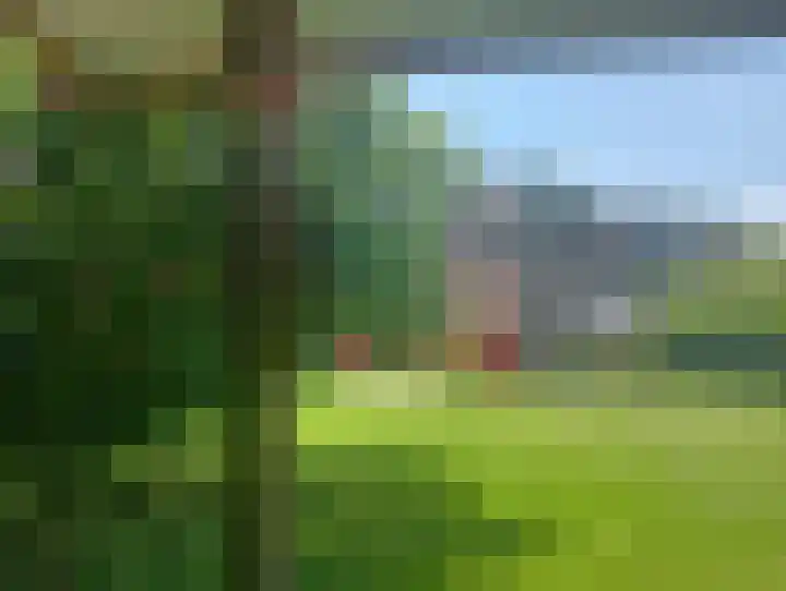 Terhagen 3 Elsloo thumbnail 64