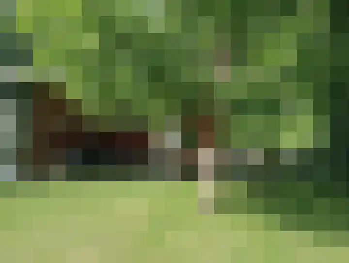 Terhagen 3 Elsloo thumbnail 65