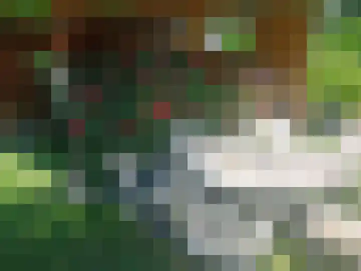 Terhagen 3 Elsloo thumbnail 66