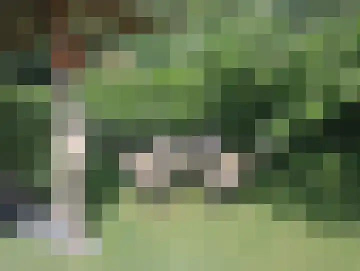 Terhagen 3 Elsloo thumbnail 67