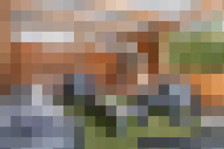 Terhagen 3 Elsloo thumbnail 71