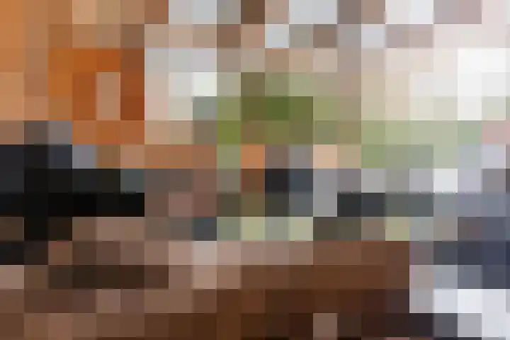 Terhagen 3 Elsloo thumbnail 72