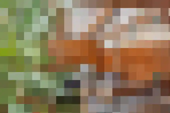 Terhagen 3 Elsloo thumbnail 75