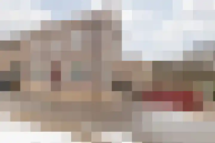 Terhagen 3 Elsloo thumbnail 8