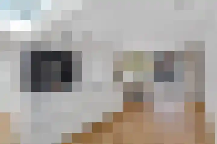 Terheijdenseweg 110 Breda thumbnail 10