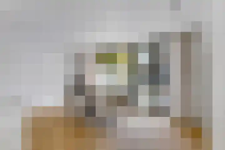 Terheijdenseweg 110 Breda thumbnail 11