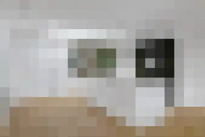 Terheijdenseweg 110 Breda thumbnail 12