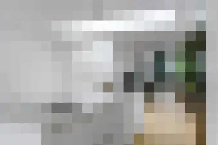 Terheijdenseweg 110 Breda thumbnail 14