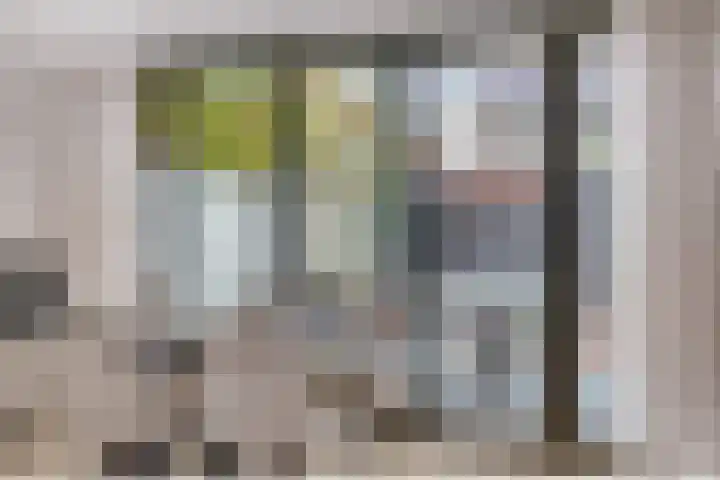 Terheijdenseweg 110 Breda thumbnail 18