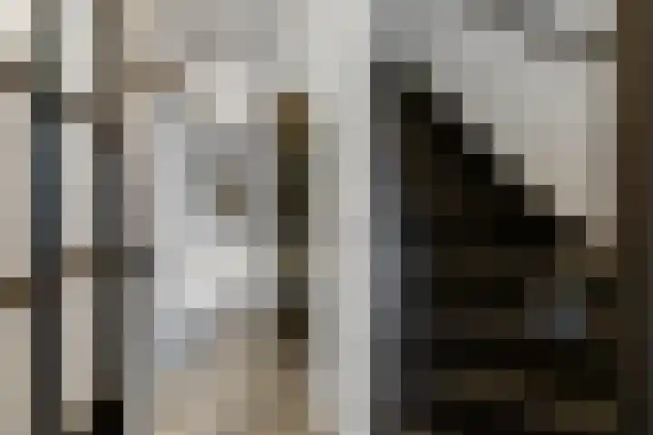 Terheijdenseweg 110 Breda thumbnail 25