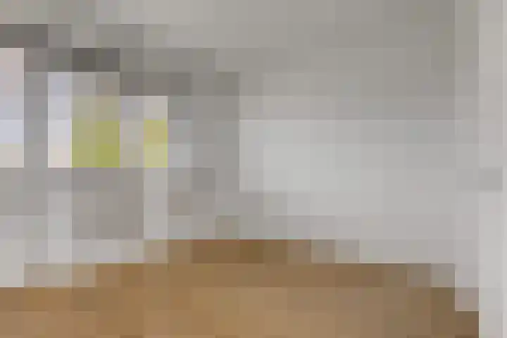 Terheijdenseweg 110 Breda thumbnail 27