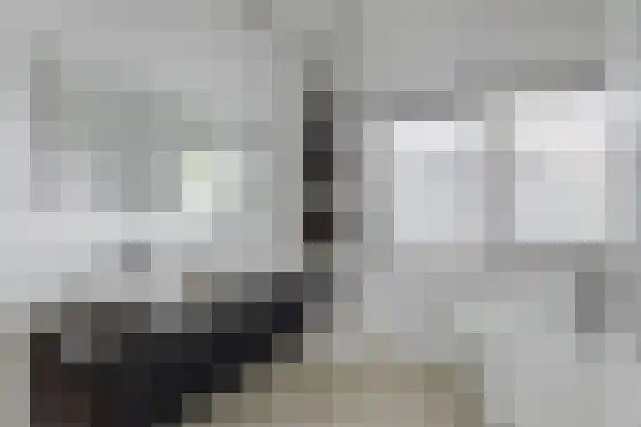 Terheijdenseweg 110 Breda thumbnail 30
