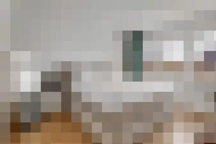 Terheijdenseweg 110 Breda thumbnail 33